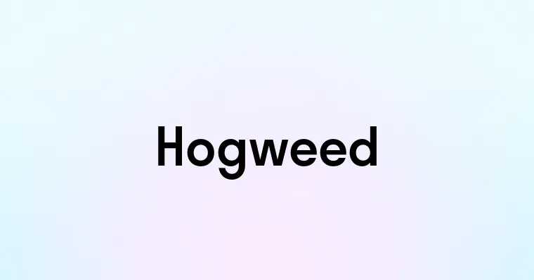 Hogweed