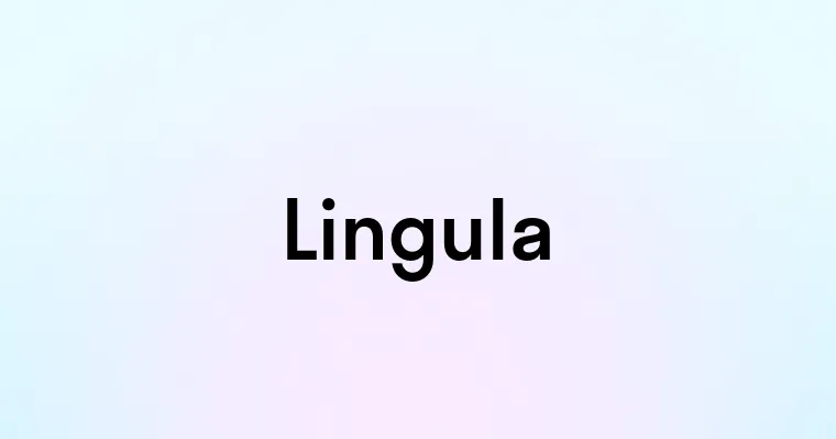 Lingula