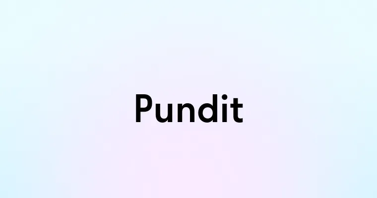 Pundit