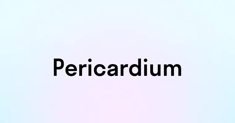 Pericardium