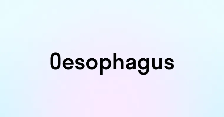 Oesophagus