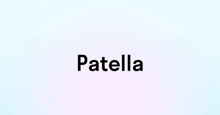 Patella