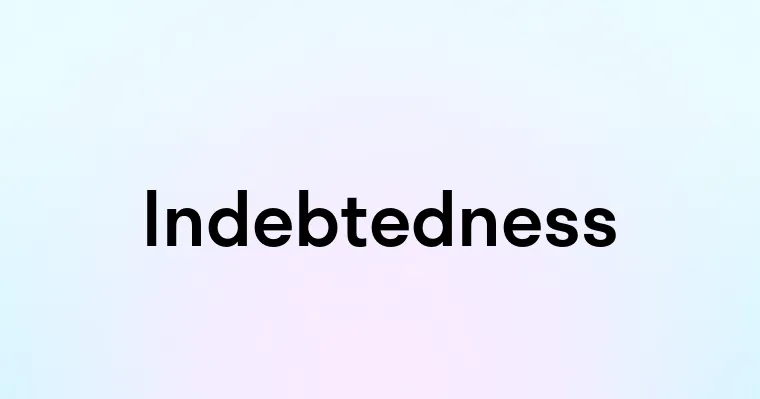 Indebtedness