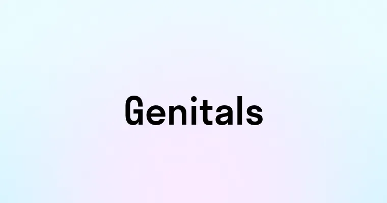 Genitals