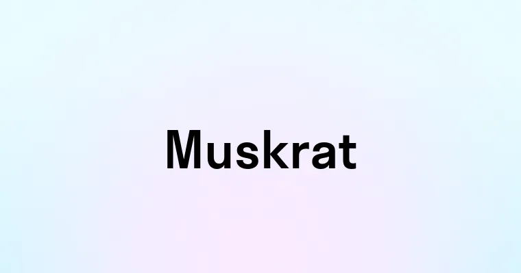 Muskrat