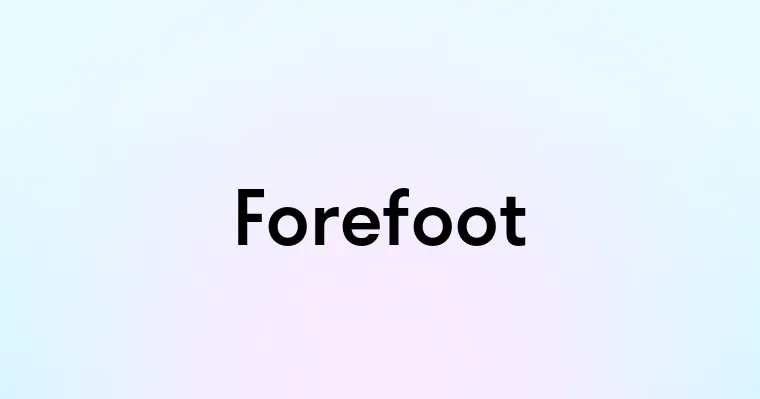 Forefoot