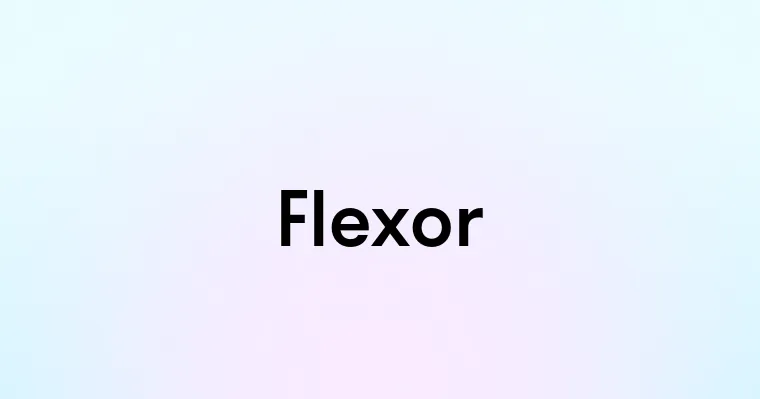 Flexor