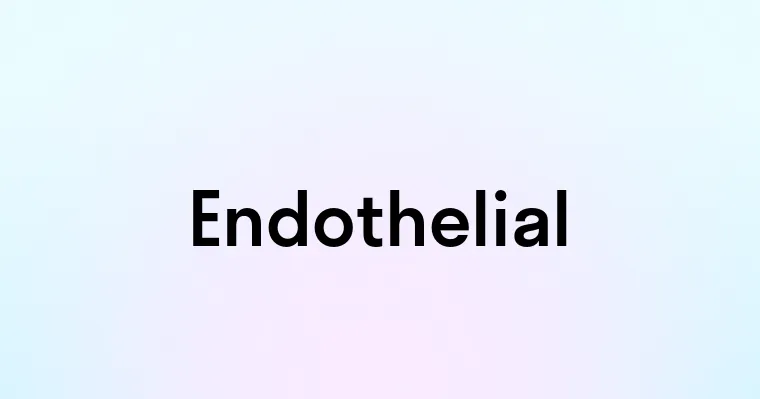 Endothelial