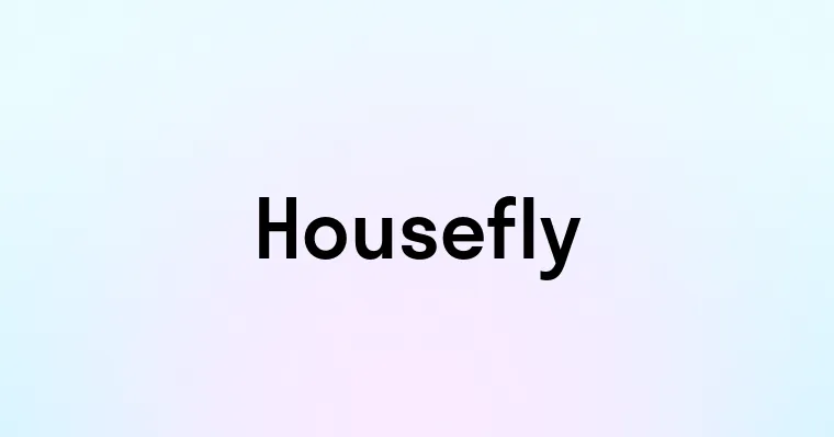 Housefly