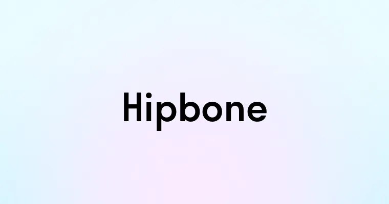 Hipbone