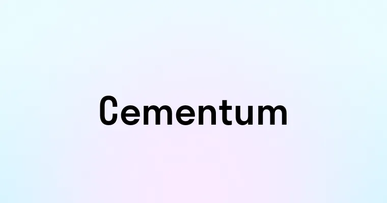 Cementum