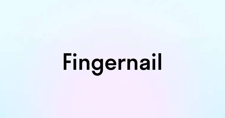 Fingernail