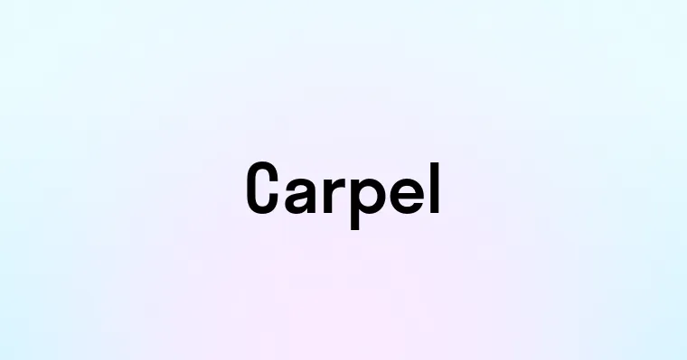 Carpel