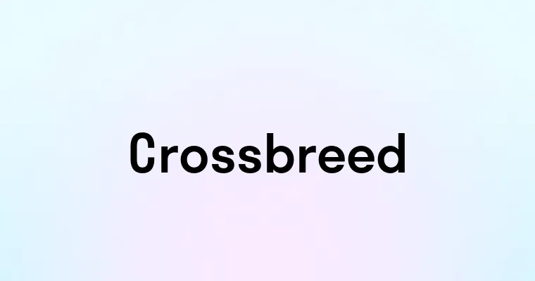 Crossbreed