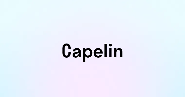 Capelin