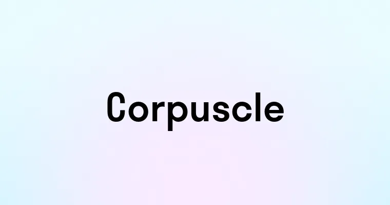 Corpuscle