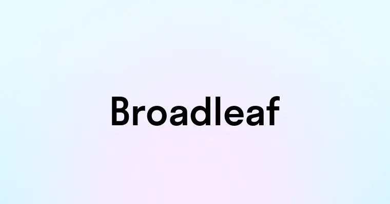 Broadleaf — перевод, транскрипция, произношение и примеры