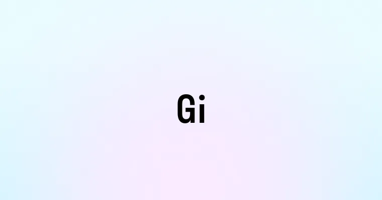 Gi