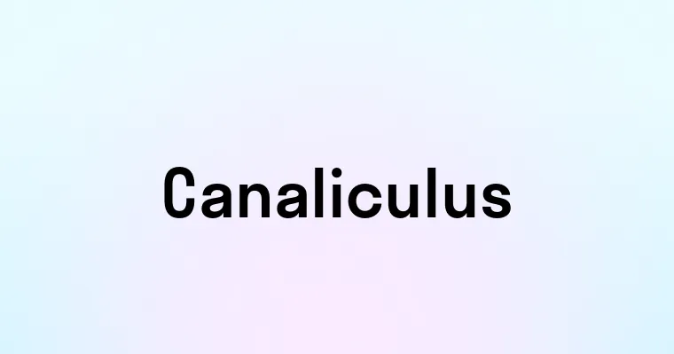 Canaliculus