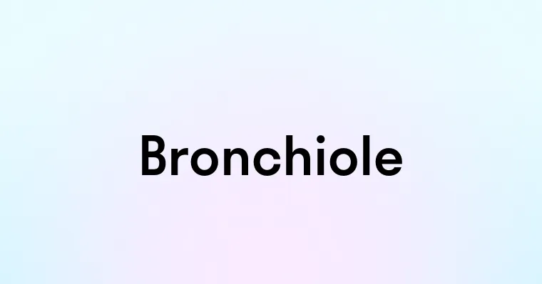 Bronchiole