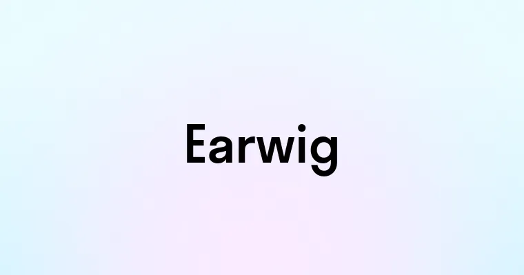 Earwig