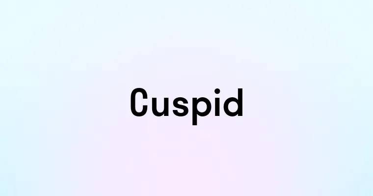 Cuspid