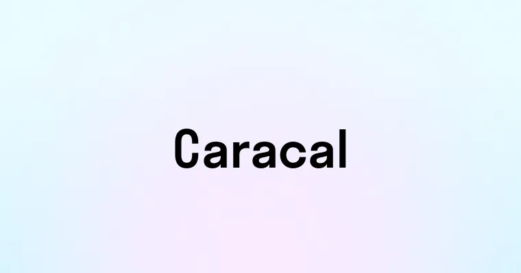 Caracal