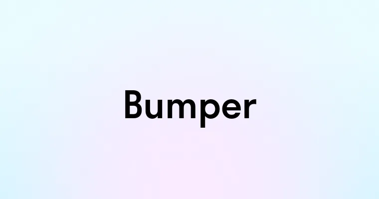 Bumper