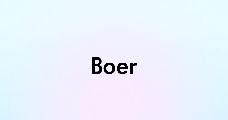 Boer