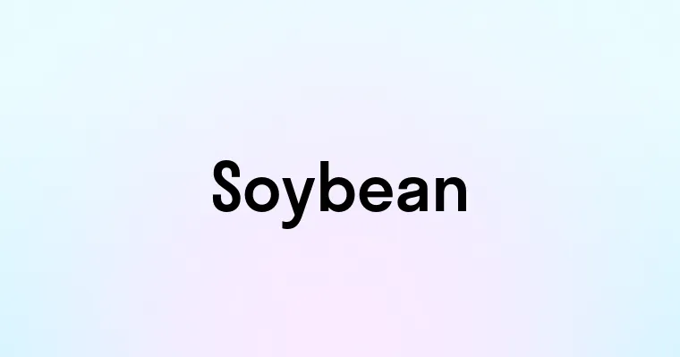 Soybean