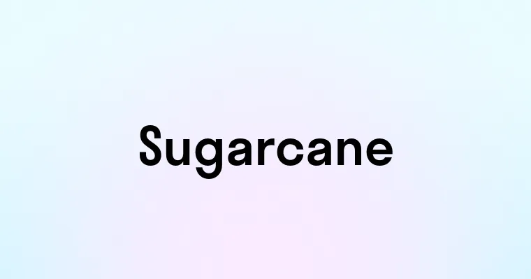 Sugarcane