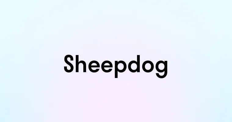 Sheepdog