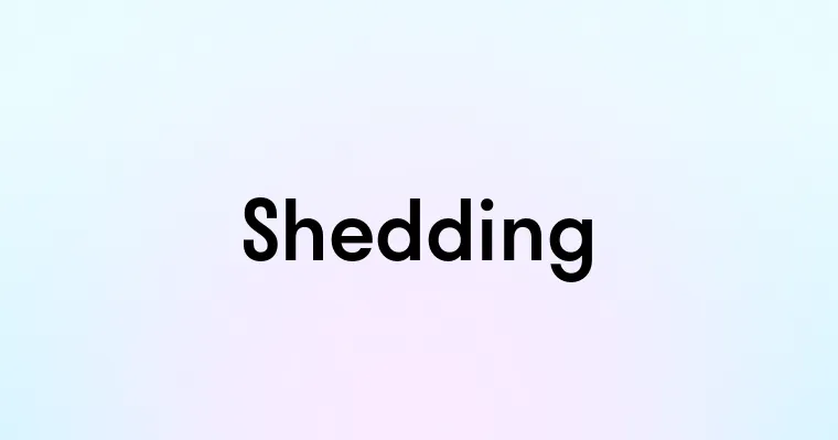 Shedding