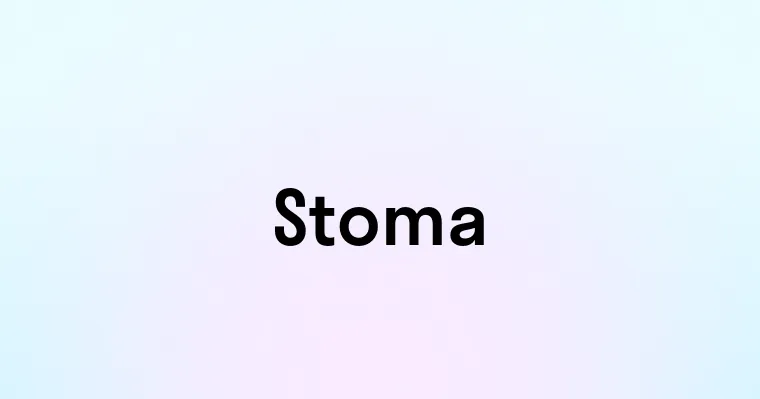 Stoma