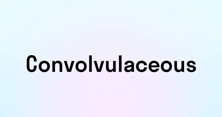 Convolvulaceous