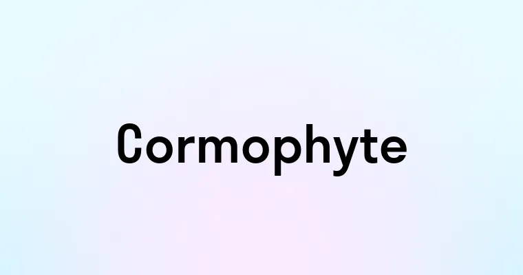 Cormophyte