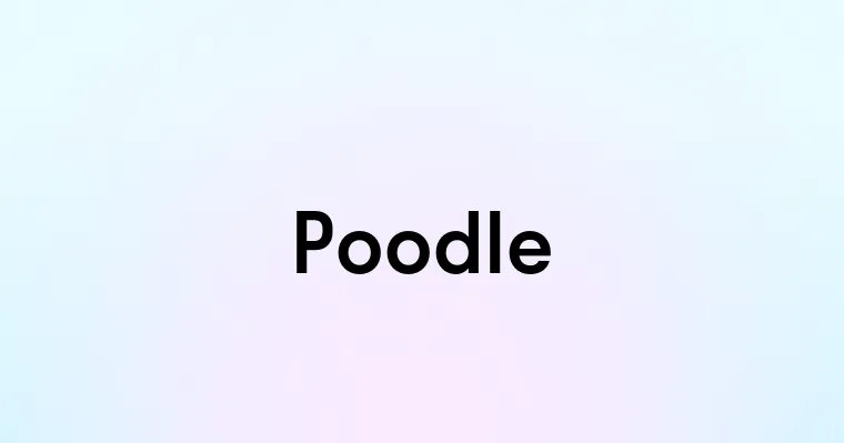 Poodle