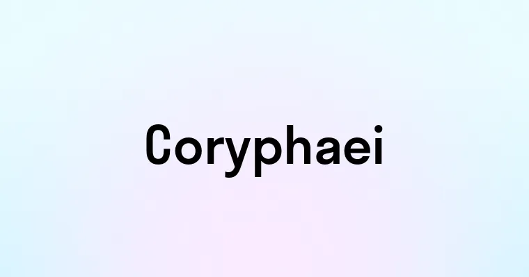 Coryphaei