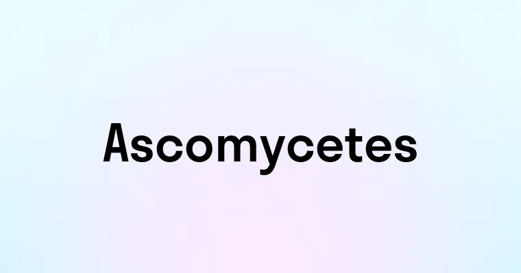 Ascomycetes