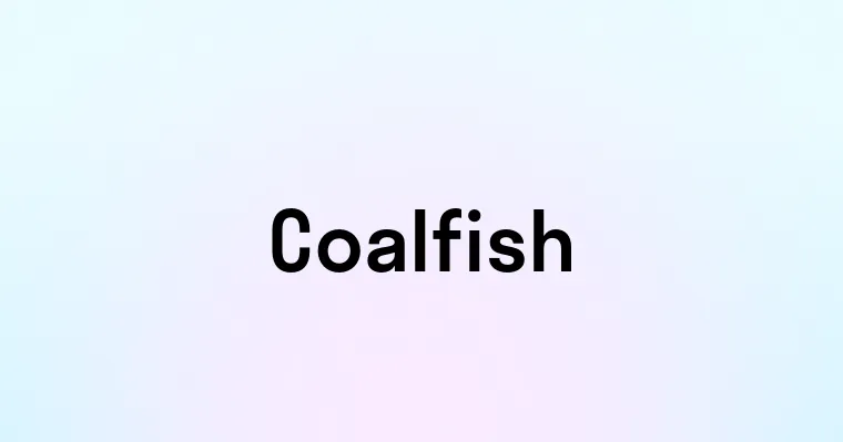 Coalfish