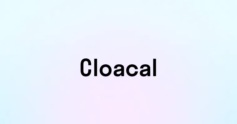 Cloacal