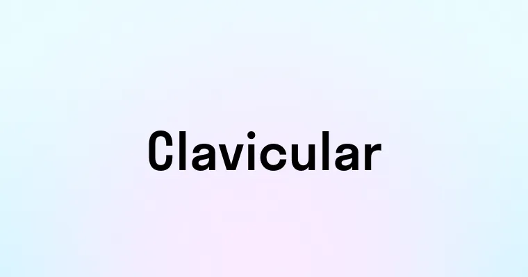 Clavicular