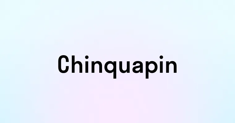 Chinquapin