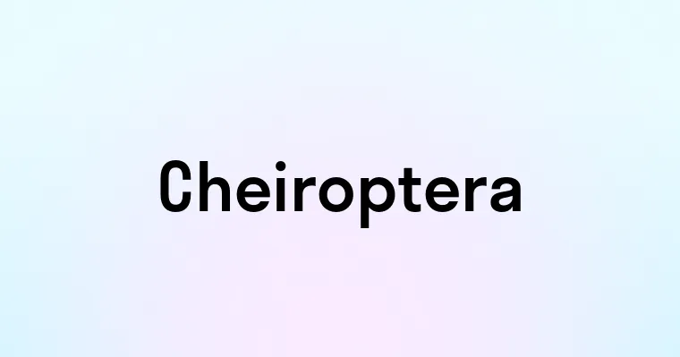 Cheiroptera