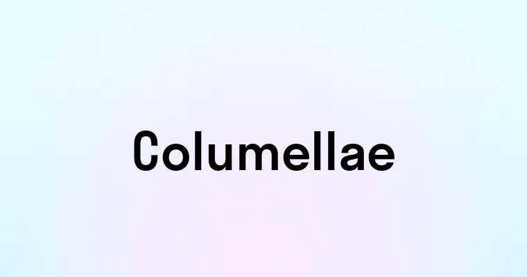 Columellae