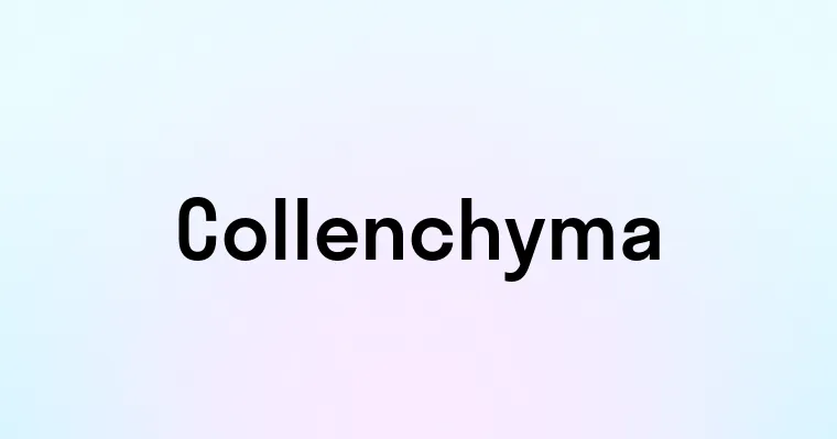 Collenchyma