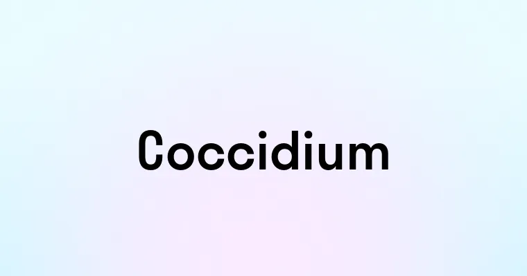 Coccidium