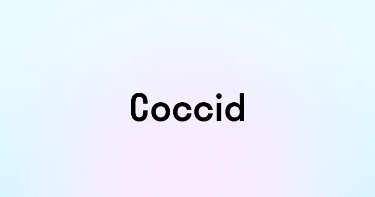 Coccid