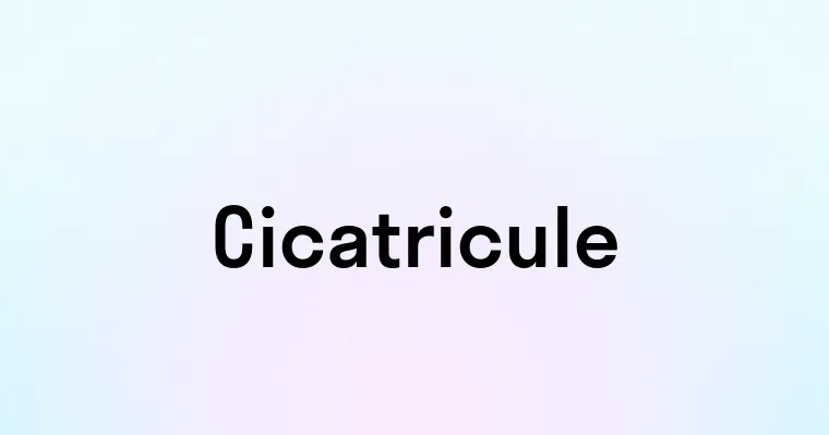 Cicatricule