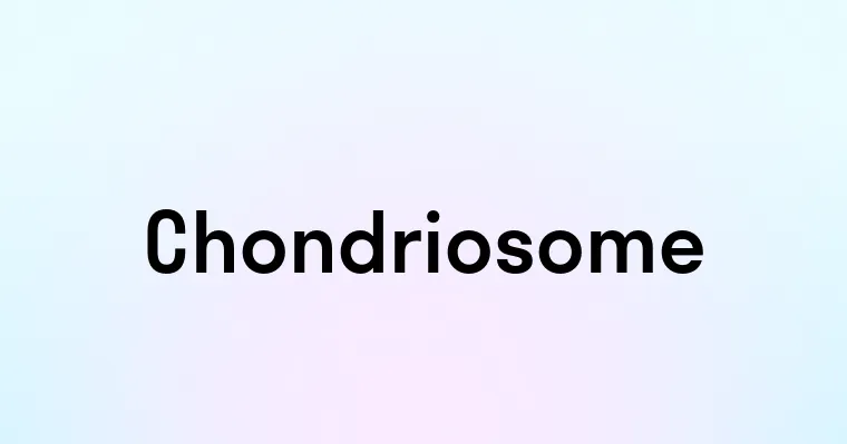 Chondriosome